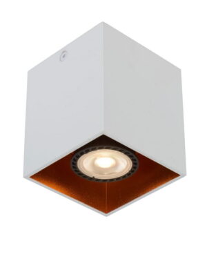 Lucide lampa sufitowa Bodibis 1 x GU10 22966/01/31