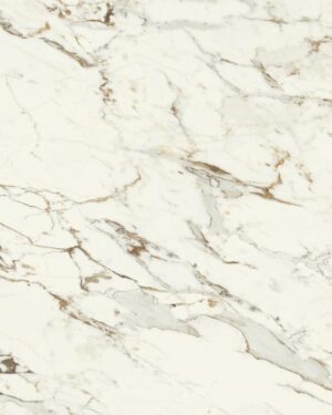 Supergres Purity of Marble Brecce Capraia Rtt. Lux. 120x120 cm