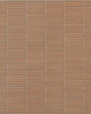 Italgraniti Terre Cotto Mini Irregolo Rtt. 60X120 cm TE05BAMI