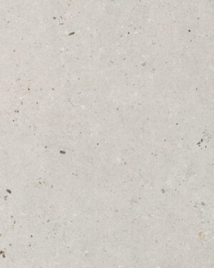 Italgraniti Silver Grain Grey 60x60 cm SI0368