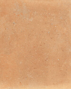 SERENISSIMA ITALICA TERRA DOLCE 100x100 RETT 1086220