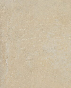 SERENISSIMA ITALICA TERRA MISTA RTT 60x60 R11 1086201