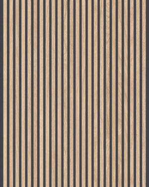 Rondine Canne 3D Ecru Black 60x120