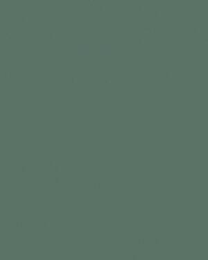 CIR-FOREVER-COLOR-MATTE-FINISH-GREEN-1093945