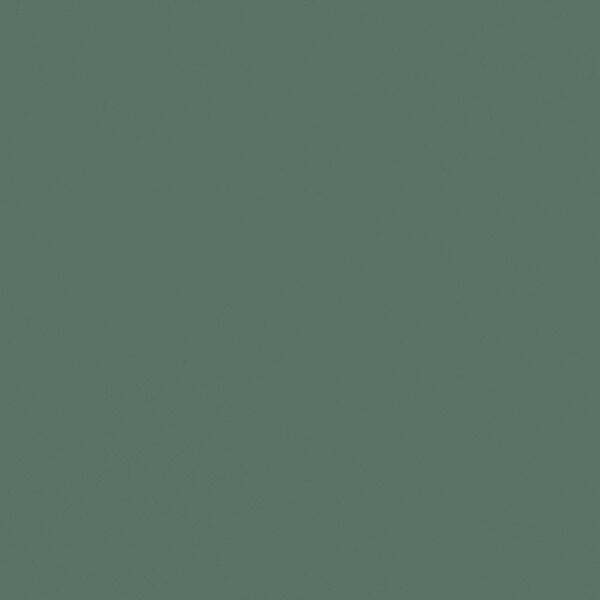 CIR-FOREVER-COLOR-MATTE-FINISH-GREEN-1093945