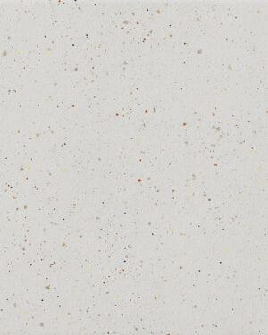 CIR-FOREVER-COLOR-PEPPER-WHITE-20X20-1093922