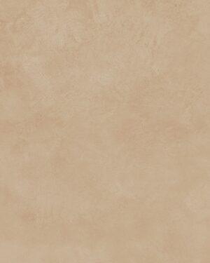 SUPERGRES-COLOVERS-LOVE_TAN-RTT-80X80_LTN8