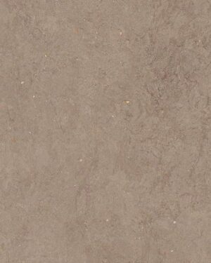 NOVABELL_CANVE_BRUN_60X60_CNV60RT